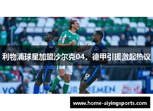 利物浦球星加盟沙尔克04，德甲引援激起热议