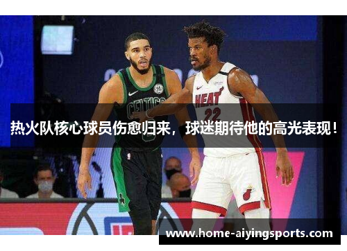 热火队核心球员伤愈归来，球迷期待他的高光表现！
